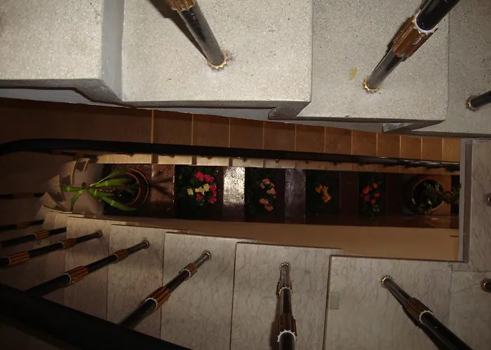 בית הארחה Alianca Local